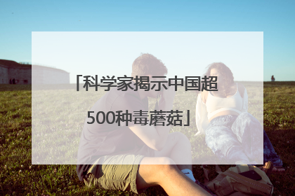 科学家揭示中国超500种毒蘑菇