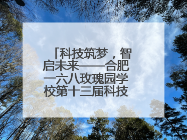 科技筑梦，智启未来——合肥一六八玫瑰园学校第十三届科技节机器人系列体验赛燃动校园
