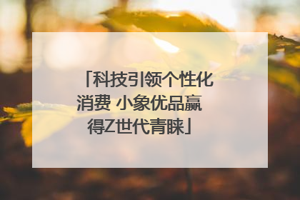科技引领个性化消费 小象优品赢得Z世代青睐