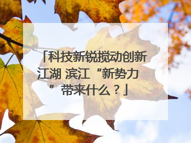 科技新锐搅动创新江湖 滨江“新势力”带来什么？