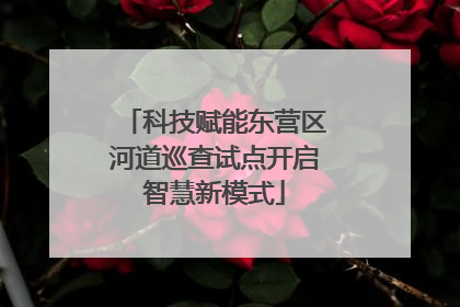 科技赋能东营区河道巡查试点开启智慧新模式