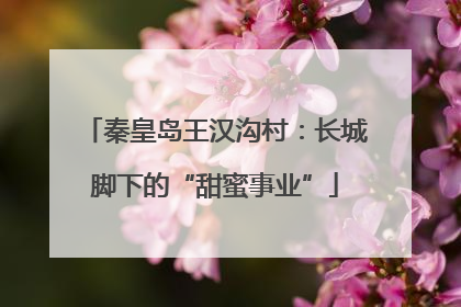 秦皇岛王汉沟村：长城脚下的“甜蜜事业”