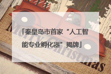 秦皇岛市首家“人工智能专业孵化器”揭牌