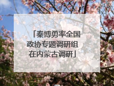 秦博勇率全国政协专题调研组在内蒙古调研