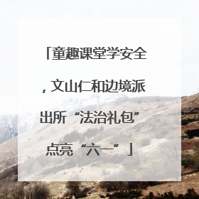 童趣课堂学安全，文山仁和边境派出所“法治礼包”点亮“六一”