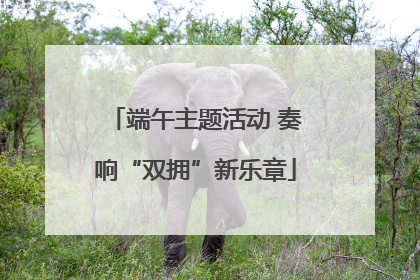 端午主题活动 奏响“双拥”新乐章