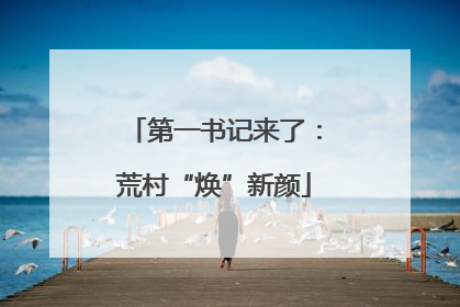 第一书记来了：荒村“焕”新颜