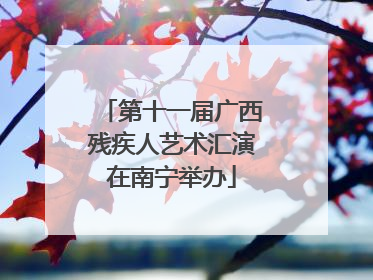 第十一届广西残疾人艺术汇演在南宁举办