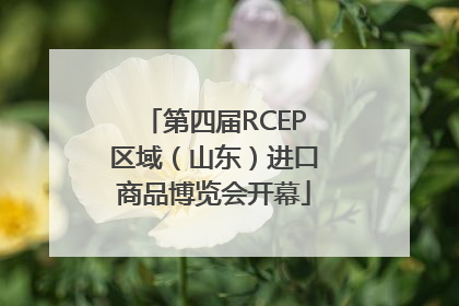 第四届RCEP区域（山东）进口商品博览会开幕
