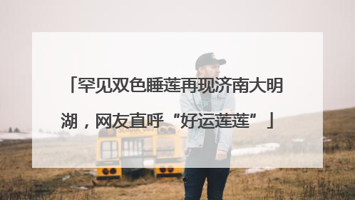罕见双色睡莲再现济南大明湖，网友直呼“好运莲莲”