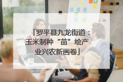 罗平县九龙街道：玉米制种“苗”绘产业兴农新画卷