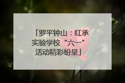 罗平钟山：红承实验学校“六一”活动精彩纷呈