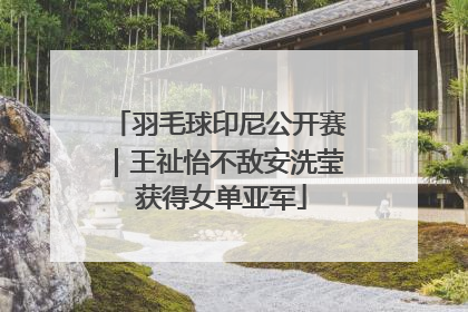 羽毛球印尼公开赛｜王祉怡不敌安洗莹 获得女单亚军