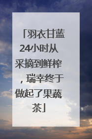 羽衣甘蓝24小时从采摘到鲜榨，瑞幸终于做起了果蔬茶