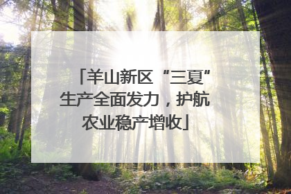 羊山新区“三夏”生产全面发力，护航农业稳产增收