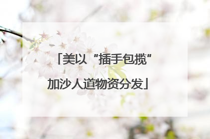 美以“插手包揽”加沙人道物资分发