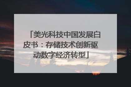 美光科技中国发展白皮书：存储技术创新驱动数字经济转型