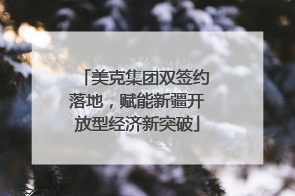 美克集团双签约落地，赋能新疆开放型经济新突破