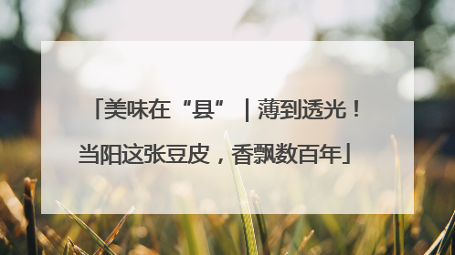 美味在“县”｜薄到透光！当阳这张豆皮，香飘数百年