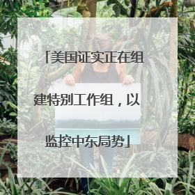 美国证实正在组建特别工作组，以监控中东局势