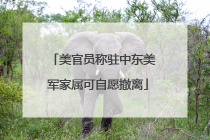 美官员称驻中东美军家属可自愿撤离