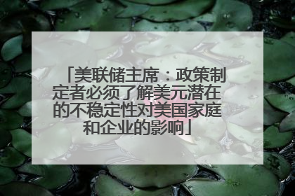美联储主席：政策制定者必须了解美元潜在的不稳定性对美国家庭和企业的影响