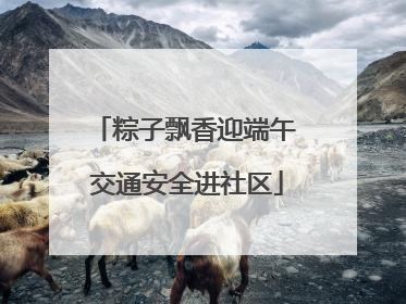 粽子飘香迎端午 交通安全进社区