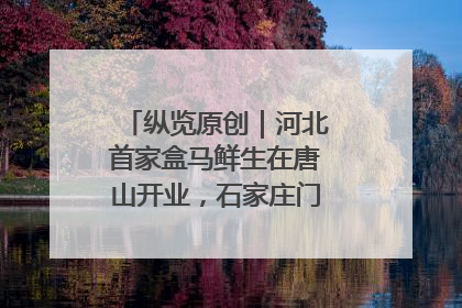 纵览原创｜河北首家盒马鲜生在唐山开业，石家庄门店预计8月开业