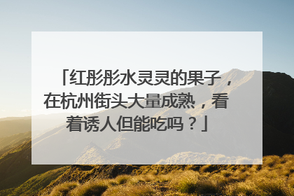 红彤彤水灵灵的果子，在杭州街头大量成熟，看着诱人但能吃吗？