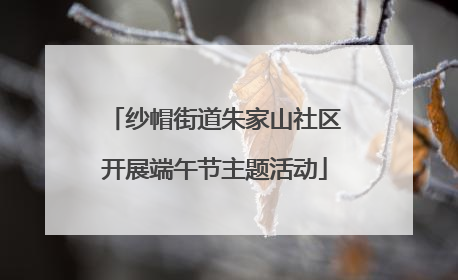 纱帽街道朱家山社区开展端午节主题活动