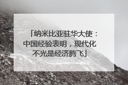 纳米比亚驻华大使：中国经验表明，现代化不光是经济腾飞