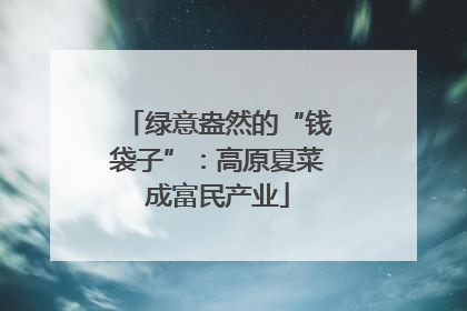 绿意盎然的“钱袋子”：高原夏菜成富民产业