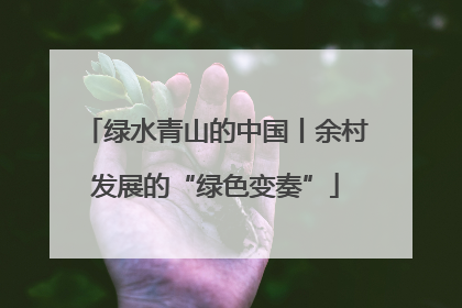 绿水青山的中国丨余村发展的“绿色变奏”