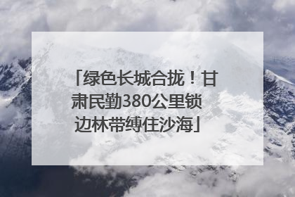 绿色长城合拢！甘肃民勤380公里锁边林带缚住沙海