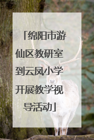 绵阳市游仙区教研室到云凤小学开展教学视导活动