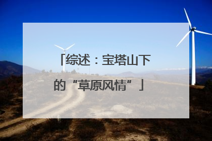综述：宝塔山下的“草原风情”
