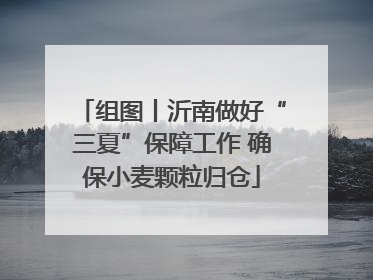 组图丨沂南做好“三夏”保障工作 确保小麦颗粒归仓