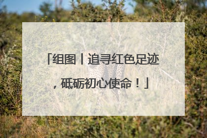 组图丨追寻红色足迹，砥砺初心使命！