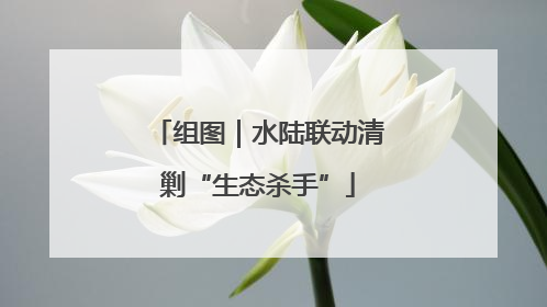 组图｜水陆联动清剿“生态杀手”