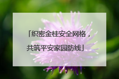 织密金桂安全网格，共筑平安家园防线