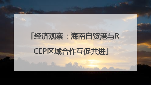 经济观察：海南自贸港与RCEP区域合作互促共进
