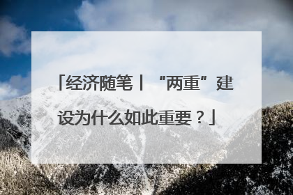 经济随笔丨“两重”建设为什么如此重要？