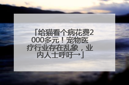 给猫看个病花费2000多元！宠物医疗行业存在乱象，业内人士呼吁→