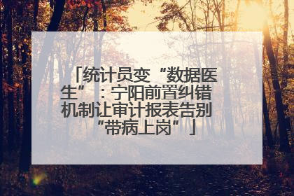 统计员变“数据医生”：宁阳前置纠错机制让审计报表告别“带病上岗”