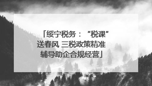绥宁税务：“税课”送春风 三税政策精准辅导助企合规经营
