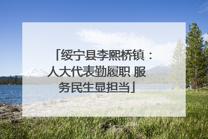 绥宁县李熙桥镇：人大代表勤履职 服务民生显担当