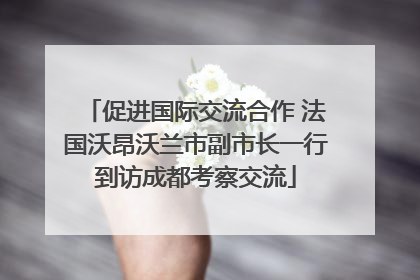 促进国际交流合作 法国沃昂沃兰市副市长一行到访成都考察交流