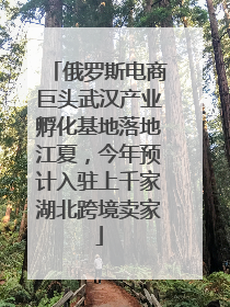 俄罗斯电商巨头武汉产业孵化基地落地江夏，今年预计入驻上千家湖北跨境卖家