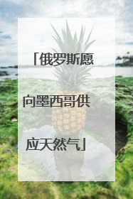 俄罗斯愿向墨西哥供应天然气