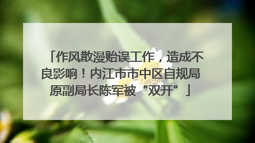 作风散漫贻误工作，造成不良影响！内江市市中区自规局原副局长陈军被“双开”